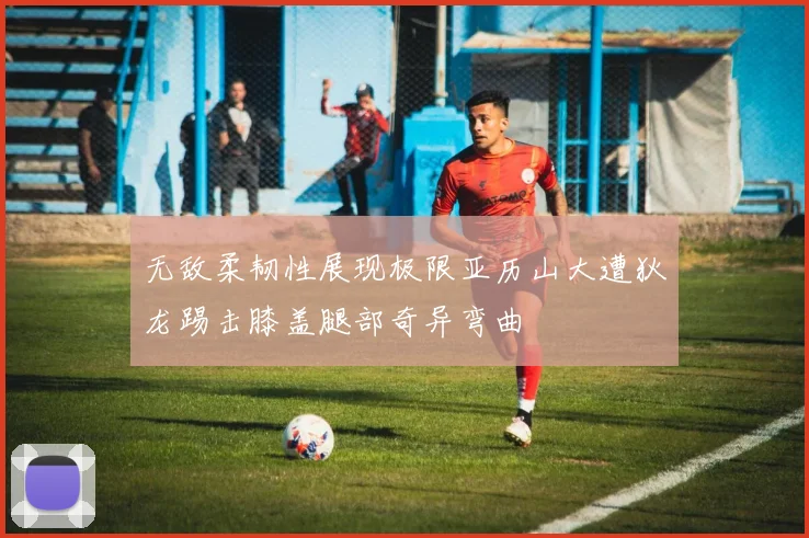 无敌柔韧性展现极限亚历山大遭狄龙踢击膝盖腿部奇异弯曲